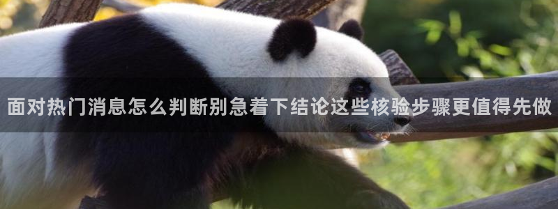 51吃瓜信息大全