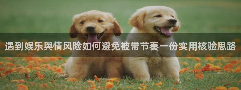 今日网络资讯